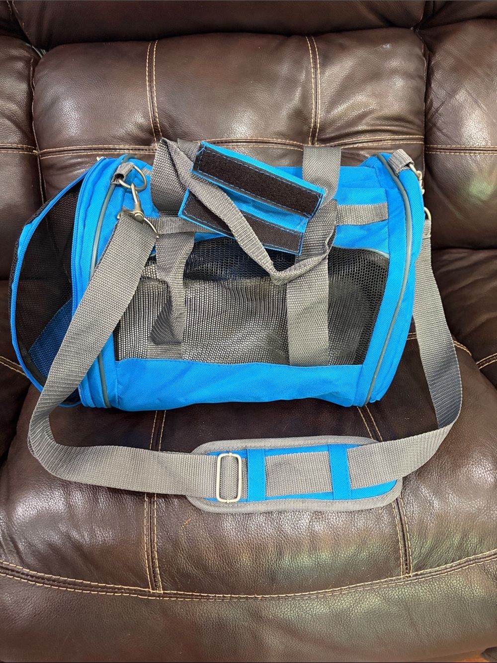 Blue Small Pet Carrier with Gray Straps
